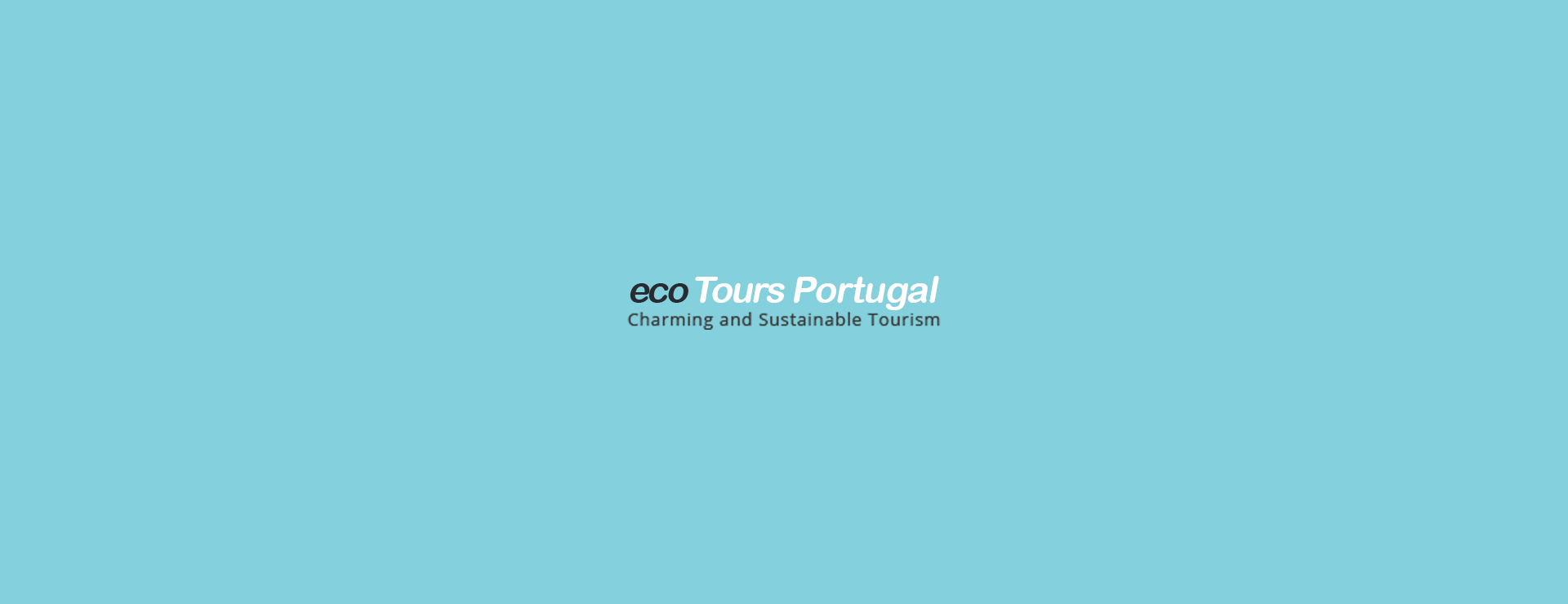 Tour por el Duero y Vino de Oporto